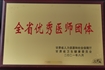全省优秀医师团体